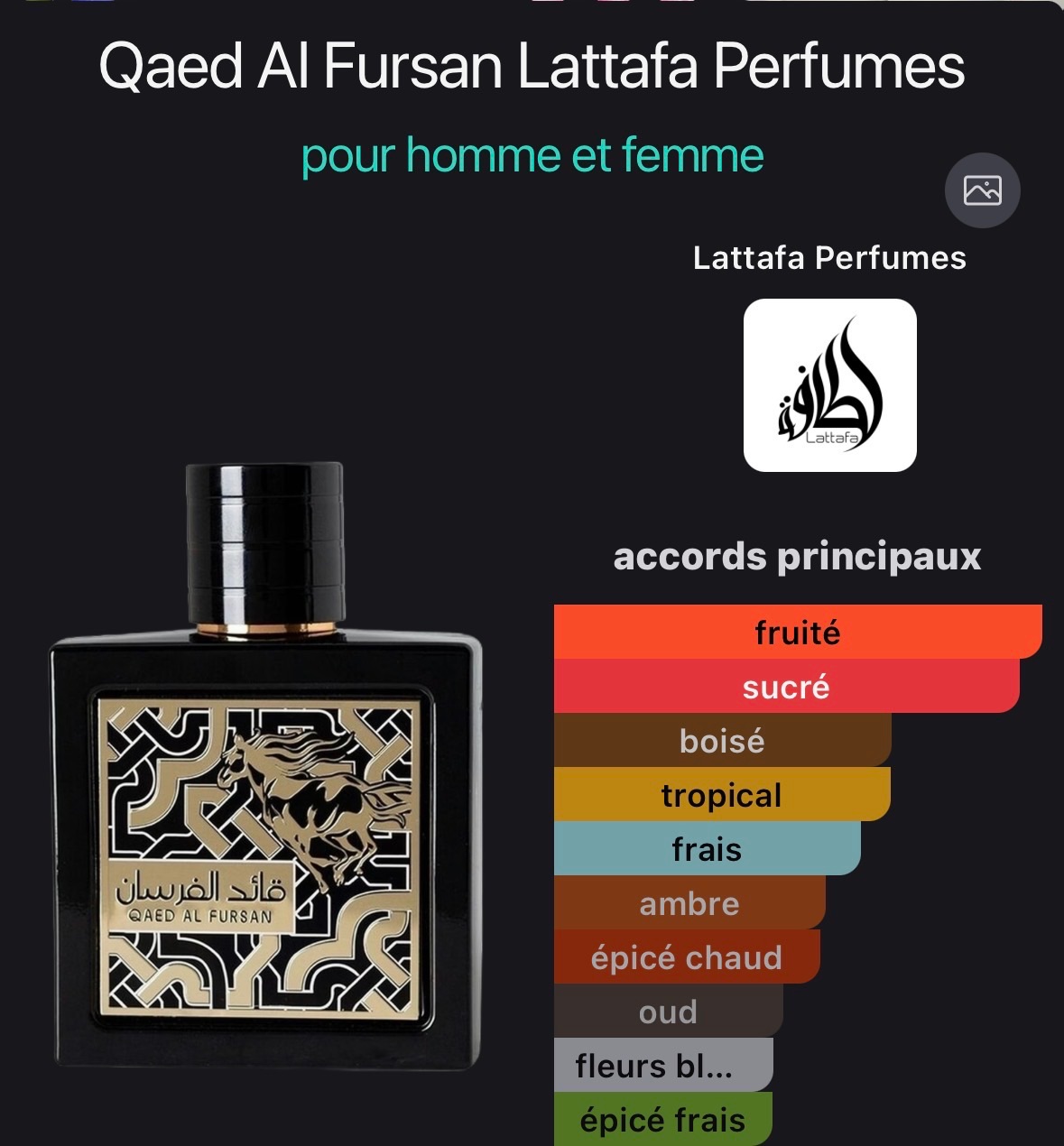 Qaed al fursan by Lattafa