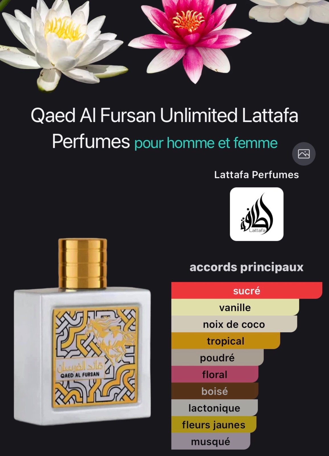 Qaed al fursan unlimited by Lattafa